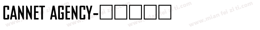 CANNET AGENCY字体转换